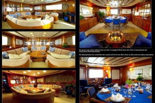 Blue Gold -  Salon and Dining